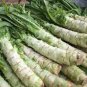 Heirloom Red Skin Asparagus Lettuce Vegetables 30 PCS Seeds