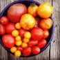 Heirloom Red Zebra Tomato with Golden Stripe Organic 100 PCS Seeds