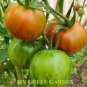 Heirloom Red Zebra Tomato with Golden Stripe Organic 100 PCS Seeds