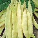 Heirloom Roma I Yellow Bean 15 PCS Seeds