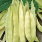 Heirloom Roma I Yellow Bean 15 PCS Seeds