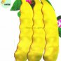 Heirloom Roma I Yellow Bean 15 PCS Seeds