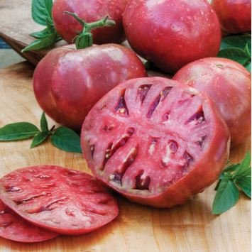 Heirloom Small Bright Purple Tomato 100 PCS Seeds