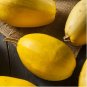 Heirloom Spaghetti Squash Vegetable 30 PCS Seeds