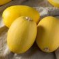 Heirloom Spaghetti Squash Vegetable 30 PCS Seeds