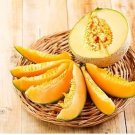 Heirloom Super Big Elizabeth Orange Yellow Sweet Melon Hybrid 10 PCS Seeds