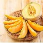 Heirloom Super Big Elizabeth Orange Yellow Sweet Melon Hybrid 10 PCS Seeds