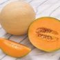 Heirloom Super Big Elizabeth Orange Yellow Sweet Melon Hybrid 10 PCS Seeds