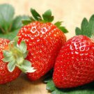 Heirloom Super Giant Japan Red Strawberry Organic 600 PCS Seeds