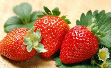 Heirloom Super Giant Japan Red Strawberry Organic 600 PCS Seeds