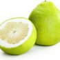 Heirloom Sweet Yellow Grapefruit Citrus maxima Fruit 10 PCS Seeds
