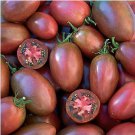 Heirloom Ukraine Kibits Tomato 50 PCS Seeds Heirloom Ukraine Kibits Tomato 50 PCS Seeds