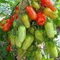 Heirloom Ukraine Kibits Tomato 50 PCS Seeds