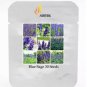 Heirloom Victoria Salvia farinacea Sage Perennial Flower 30 PCS Seeds