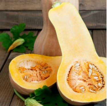 Heirloom Waltham Butternut White Winter Squash 10 PCS Seeds