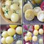 Heirloom White Cherry Tomato Organic Fresh Fruit Vegetables 100 PCS Seeds