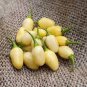 Heirloom White Hot Pepper 20 PCS Seeds