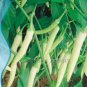 Heirloom White Hot Pepper 20 PCS Seeds