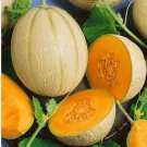 Heirloom White Sticky Sweet Melon 200 PCS Seeds