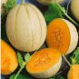 Heirloom White Sticky Sweet Melon 200 PCS Seeds