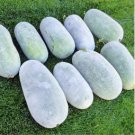 Heirloom White Wax Gourd Vegetables 12 PCS Seeds Heirloom White Wax Gourd Vegetables 12 PCS Seeds