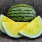 Heirloom Yellow Flesh Janosik Watermelon 10 PCS Seeds
