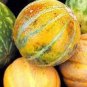 Heirloom Yellow Green Sticky Sweet Melon 200 PCS Seeds