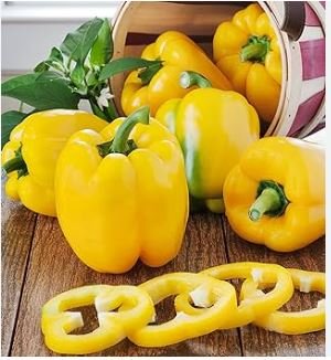 Heirloom Yellow Long Sweet Pepper Hybrid 'Huang La Meizi' 20 PCS Seeds