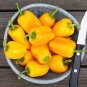 Heirloom Yellow Long Sweet Pepper Hybrid 'Huang La Meizi' 20 PCS Seeds
