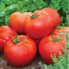 High Yield Tomato Big Pink Red Hybrid 10 PCS Seeds High Yield Tomato Big Pink Red Hybrid 10 PCS Seeds