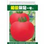 High Yield Tomato Big Pink Red Hybrid 10 PCS Seeds