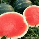 High Yields Legacy Long Red Watermelon 20 PCS Seeds High Yields Legacy Long Red Watermelon 20 PCS Seeds