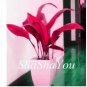 Hosta Seeds 2 Colors Available 200 PCS Seeds
