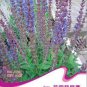 Hot Chili Peppers 60 PCS Seeds