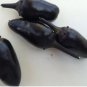 Hot Chilli Pepper Black Olive Seeds professional pack 20 PCS Seeds