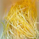 Hotbed Chives Chinese Yellow Chives NON-GMO Great Vegetables 50 PCS Seeds