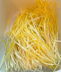 Hotbed Chives Chinese Yellow Chives NON-GMO Great Vegetables 50 PCS Seeds
