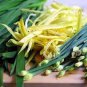 Hotbed Chives Chinese Yellow Chives NON-GMO Great Vegetables 50 PCS Seeds