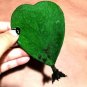 Hoya kerrii Seeds December orchid Family Bonsai Garden Supplies 100 PCS Seeds