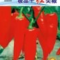 Hunan Red Dried Chili 300 PCS Seeds