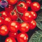 Husky Cherry Red Tomato 100 PCS Seeds