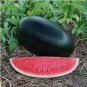 Hybrid Black Skin Oval Shape Watermelon 10 PCS Seeds