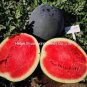Hybrid Black Skin Oval Shape Watermelon 10 PCS Seeds