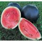 Hybrid Black Skin Oval Shape Watermelon 10 PCS Seeds