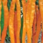 Hybrid Yellow & Orange Long Chili Pepper 200 PCS Seeds
