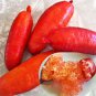 Ice Pink Finger Fruit Lime 20 PCS Seeds