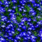 Imported Lobelia Flowers Blooming Covering Flore Outdoor 200 PCS Seeds