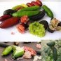 Imported Orange Finger Lime Pomegrante Plant 10 PCS Seeds