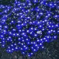 Imported Lobelia Flowers Blooming Covering Flore Outdoor 200 PCS Seeds