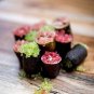 Imported Rose Pink Bliss Finger Lime Plant 10 PCS seeds